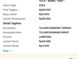 Ada Apa Dengan Pemeriksaan BPK (Badan Pemeriksaan Keuangan) Lampung Di Tubaba