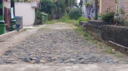 Warga Desa Bumi Raya berharap Pemkab segera lakukan peningkatan jalan lingkungan
