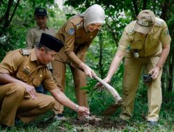 Pemprov buka peluang kerja sama investasi hijau bersama investor global