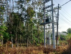 Lembaga Bantuan Hukum Adil Nusantara Layangkan Somasi Kepada PLN Pulung Kencana