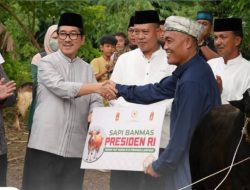 Bupati Lampung Utara serahkan sapi kurban Presiden ke Masjid Al-Mukhlisin Kota Alam