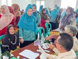Wujudkan Pelayanan Kesehatan Merata, Ketua TP PKK Tubaba Tinjau Langsung Q Sehat